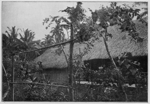 Paul Gauguins hus i Punaauia, 1896 fotografert av Jules Augostini