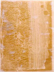 Fotogram av krystalisering, laget av August Strindberg, cirka 1893-94